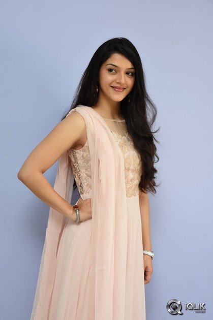 Mehreen-at-Krishna-Gadi-Veera-Prema-Gaadha-Movie-Thanks-Meet